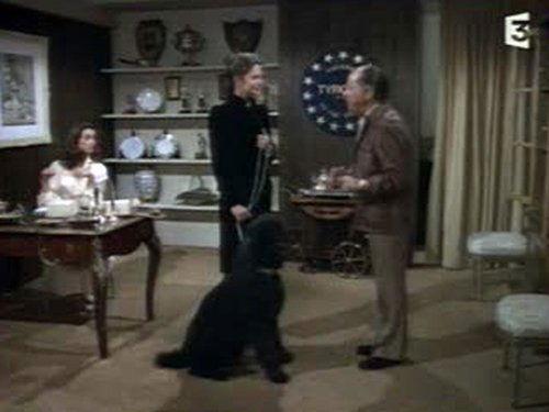 Charlie's Angels Season 4 Episode 18 - Homes $weet Homes