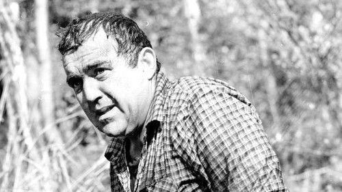 Polizeiruf 110 Season 18 Episode 2 - Der Mann im Baum