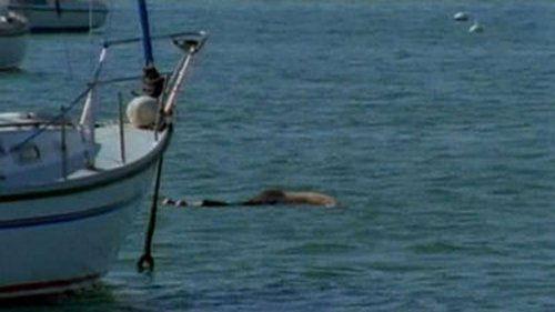 undefined Season 8 Episode 4 - Death by Water (2)