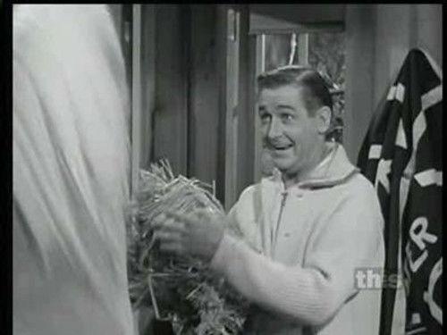 Mister Ed Season 1 Episode 3 - Busy Wife