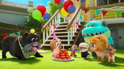 Dog Days Out Season 1 Episode 4 - The Birthday Gift / The Golden Treasure Hunt / Soccer Day