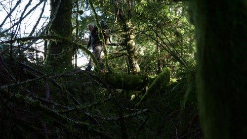 Expedition Bigfoot Season 5 Episode 2 - Nests of Giants