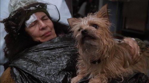 undefined Season 2 Episode 18 - A Shift in the Night