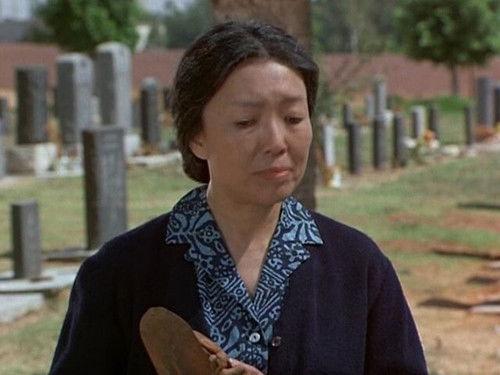 Adam-12 Season 6 Episode 2 - Rampart Division