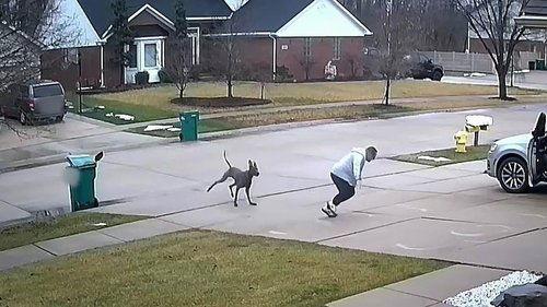 Neighborhood Wars Season 1 Episode 10 - Home Sweet Home or Battlezone?