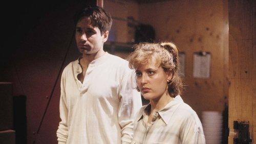 The X-Files Season 1 Episode 8 - Ice