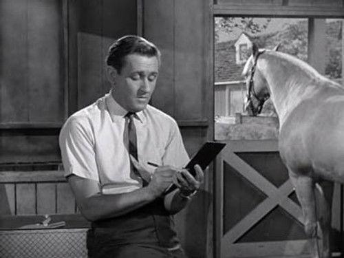 Mister Ed Season 4 Episode 2 - Wilbur Post, Honorary Horse