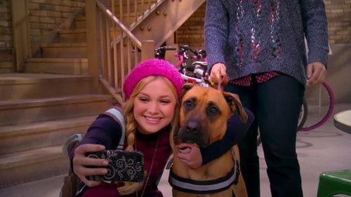 I Didn't Do It Season 2 Episode 3 - Lindy Goes to the Dogs!