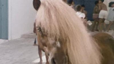 Poly Season 9 Episode 11 - Episode 11