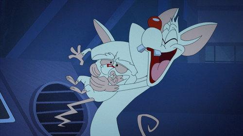 Animaniacs Season 1 Episode 41 - Roadent Trip