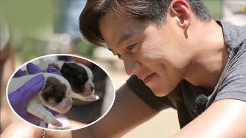 Three Meals a Day: Jeongseon Village Season 2 Episode 10 - Episode 10