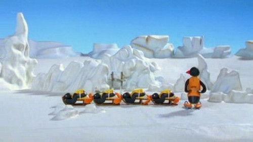 Pingu Season 6 Episode 1 - Pingu's Sledge Academy