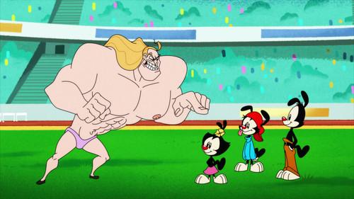 Animaniacs Season 1 Episode 8 - Gold Meddlers