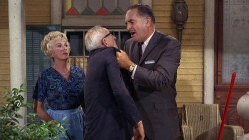 Petticoat Junction Season 3 Episode 11 - Bedloe's Successor
