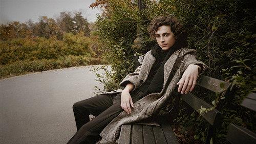 undefined Season 49 Episode 4 - November 11 - Timothée Chalamet