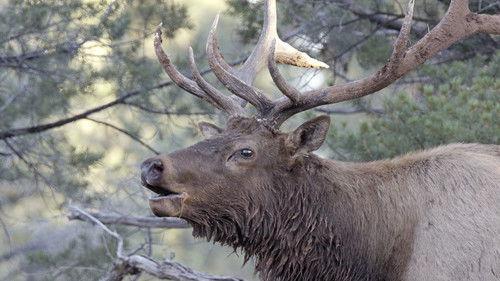 America's National Parks Season 1 Episode 1 - Grand Canyon
