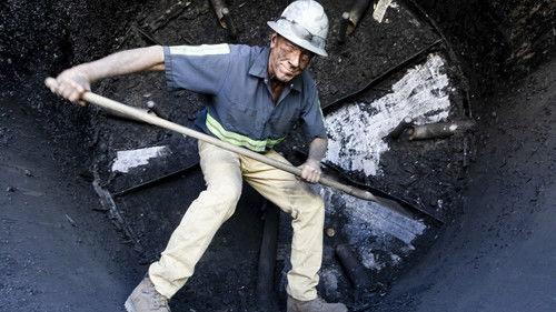 Dirty Jobs Season 11 Episode 5 - Baghouse Cleaner / Biochar Maker