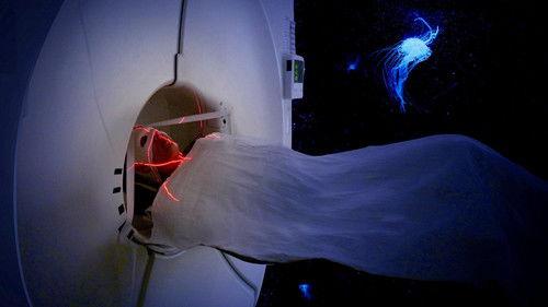 Independent Lens Season 23 Episode 12 - AWARE: Glimpses of Consciousness