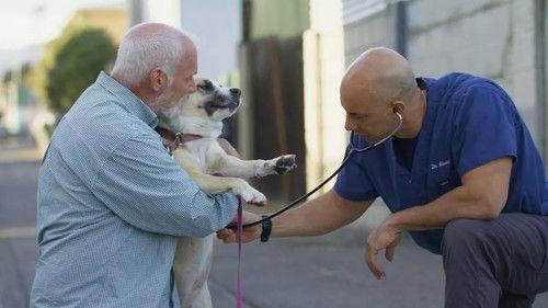 The Street Vet Season 1 Episode 3 - Andrew & Kuma