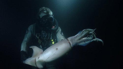 Descending Season 1 Episode 8 - The Hunt for the Red Devil