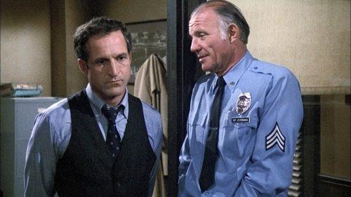 Hill Street Blues Season 2 Episode 3 - The Last White Man on East Ferry Avenue