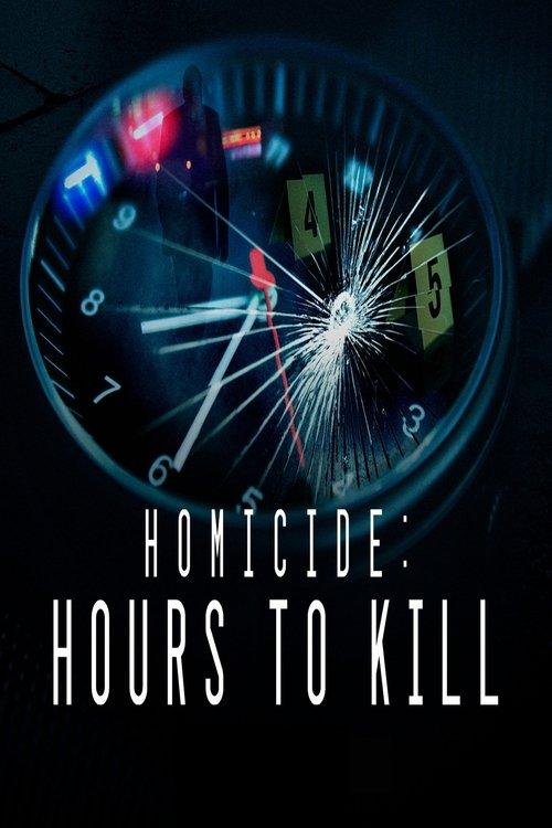 Homicide: Hours to Kill poster