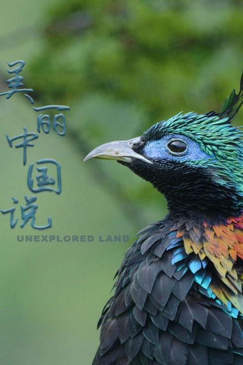 Unexplored Land poster