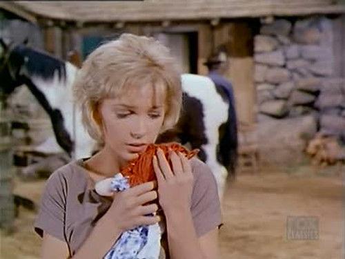 Bonanza Season 2 Episode 13 - Silent Thunder