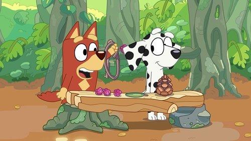 Bluey Season 1 Episode 23 - Shops