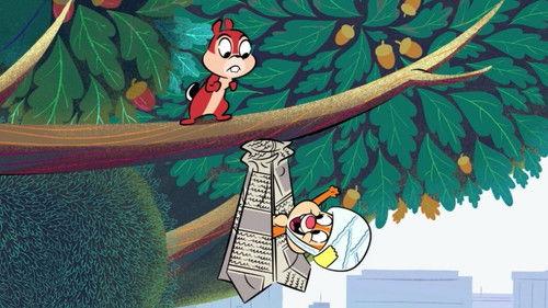 Chip 'n' Dale: Park Life Season 1 Episode 1 - Thou Shalt Nut Steal / The Baby Whisperer / It Takes Two To Tangle