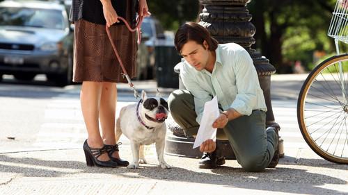 Bored to Death Season 2 Episode 6 - The Case of the Grievous Clerical Error!