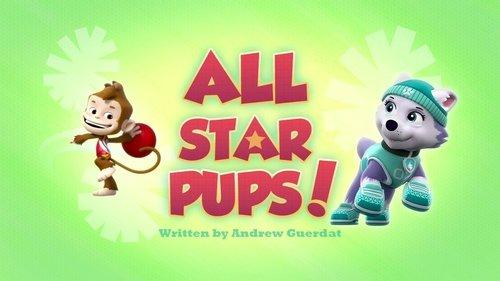 PAW Patrol Season 3 Episode 25 - All Star Pups!