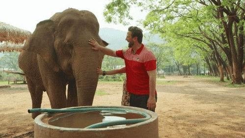 The Wizard of Paws Season 4 Episode 11 - Love & Elephants Part 2