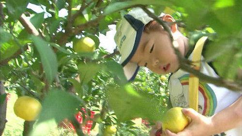 Old Enough! Season 1 Episode 2 - Episode 2