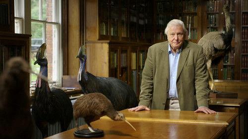 Natural World Season 35 Episode 6 - Attenborough's Big Birds