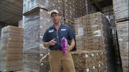 Dirty Jobs Season 4 Episode 17 - Dirty Chip Maker