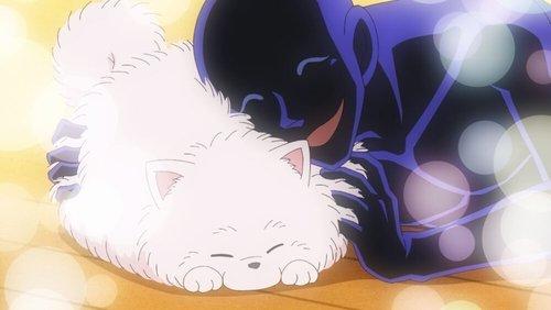 undefined Season 1 Episode 8 - Episode 8