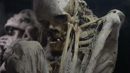 Secrets of the Dead Season 13 Episode 3 - Carthage's Lost Warriors