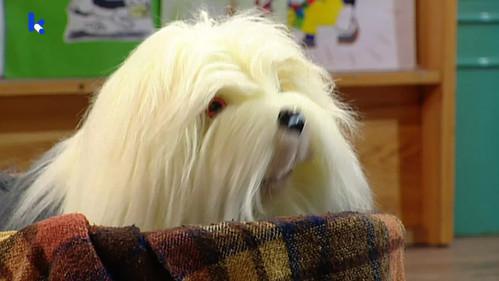 Samson & Gert Season 15 Episode 10 - Commissaris Van Leemhuyzen