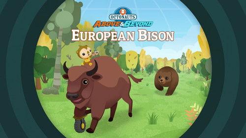 Octonauts: Above & Beyond Season 2 Episode 16 - European Bison