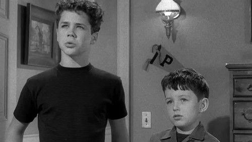 Leave It to Beaver Season 1 Episode 22 - The Perfect Father