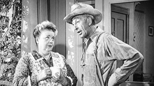 The Andy Griffith Show Season 4 Episode 15 - Aunt Bee the Crusader