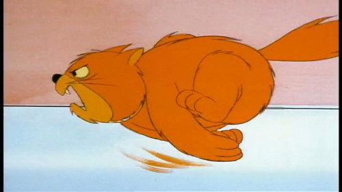 The Richie Rich/Scooby-Doo Show and Scrappy Too! Season 1 Episode 2 - Scooby's Desert Dilemma / The Rare Scare / The Old Cat and Mouse Game / Kitty Sitter / Stowaways / One of Our Aircraft Carriers is Missing