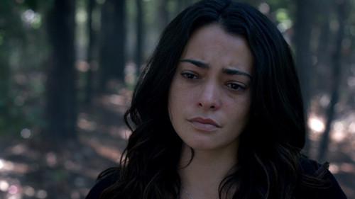 Secrets and Lies Season 1 Episode 2 - The Father