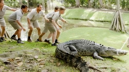 Crikey! It's the Irwins Season 2 Episode 5 - Crocodile Love Story