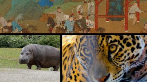 History's Crazy Rich Ancients Season 1 Episode 4 - Dangerous Game