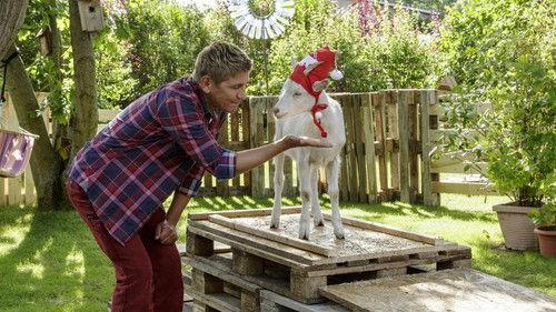 Löwenzahn Season 37 Episode 10 - Episode 10