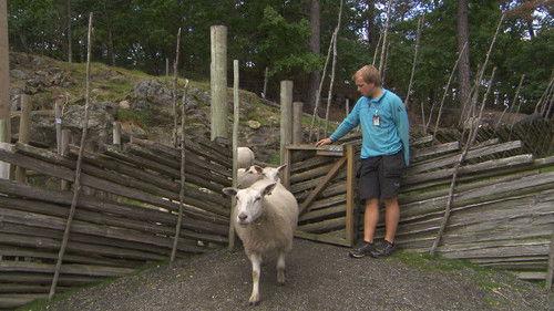 Dyrepasserne Season 7 Episode 1 - Episode 1