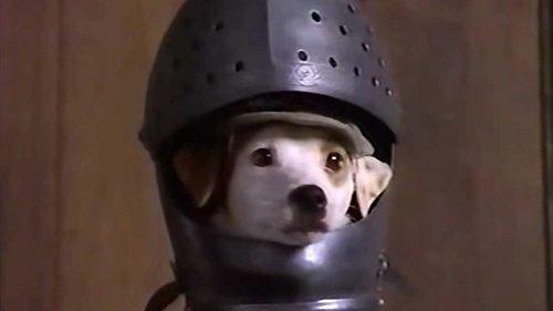 Wishbone Season 1 Episode 8 - The Slobbery Hound