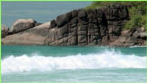 NOVA Season 28 Episode 5 - Garden of Eden